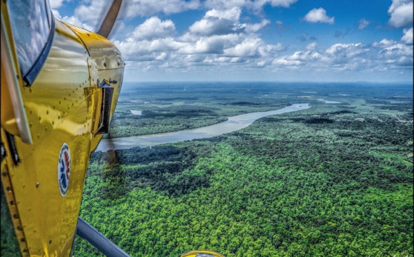 La Guyane : une biodiversité exceptionnelle pour les amateurs d'exotisme