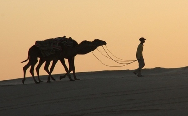 CETO : Afrique du Nord et Moyen Orient poursuivent leur dégringolade