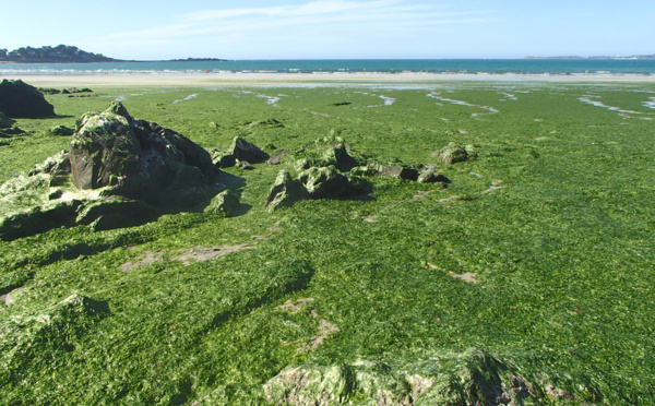 Finistère : et si vous faisiez une détox post fêtes de fin d'année ?