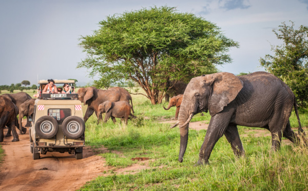 DITEX : Savanna Tours met son expertise au service des agences