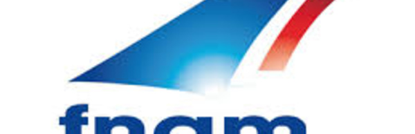 FNAM : "La situation des compagnies aériennes françaises est catastrophique"