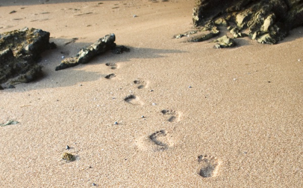 Congés d'été : TourMaG.com revient le lundi 20 août !