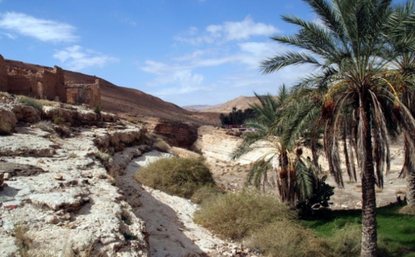 Egypte, Tunisie : les incohérences du marché français