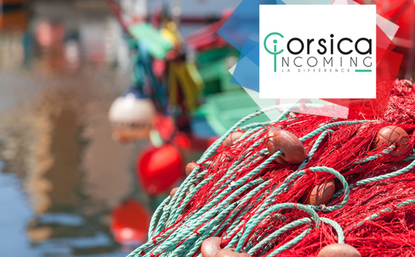 Corsica Incoming