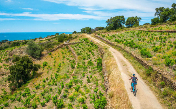 Cyclotourisme : remettez-vous en selle à Argelès-sur-Mer !