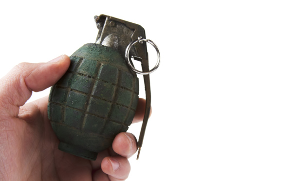 Ordonnance, PGE, reports de charges… Le Gouvernement a dégoupillé la grenade !