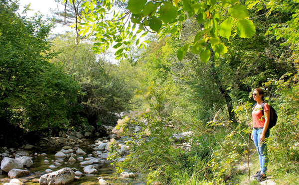 Provence-Alpes-Côte d’Azur : Destination française n°1 pour un tourisme 100% nature