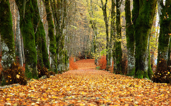 N°3 #PartezenCorse : nos dix bonnes raisons de visiter la Corse à l’automne