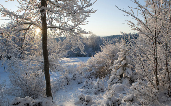 Destination Courchevel : Préparez l’Hiver en Douceur !