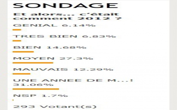 Pour 30% des Professionnels, 2012 a été une année de m... !
