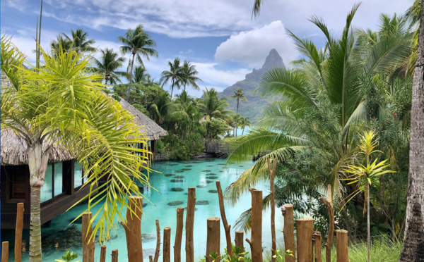 Michel Monvoisin (Air Tahiti Nui) : "Les Français ont parfaitement le droit de venir en Polynésie !"