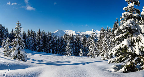 Envie d’air pur cet hiver ? Les Alpes françaises vous offrent ressourcement et bien-être