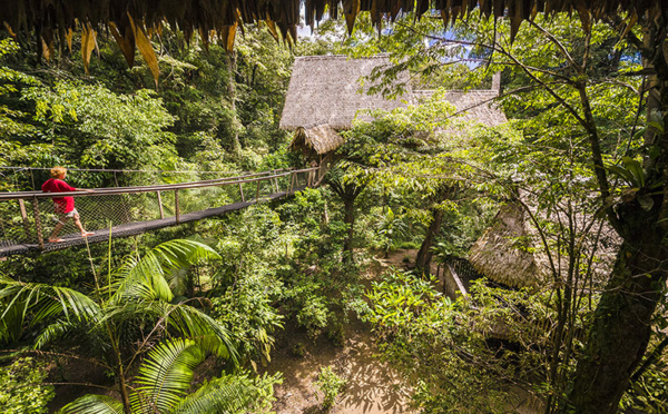 L’éveil des sens au cœur de l’Amazonie