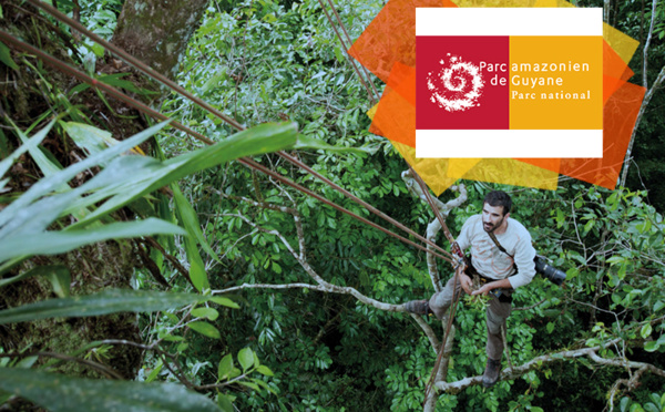 Parc amazonien de Guyane 