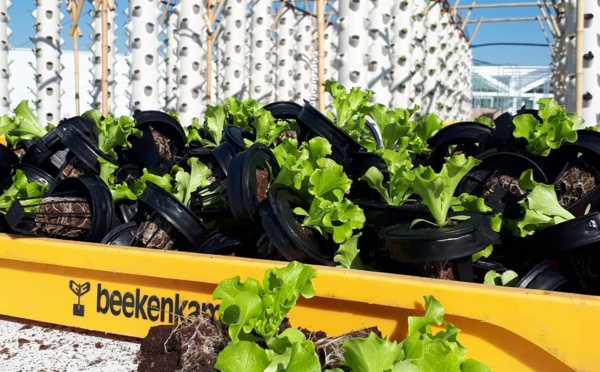 Evènementiel : Nature Urbaine rouvre ses portes le 1er avril sur le toit de Paris Expo