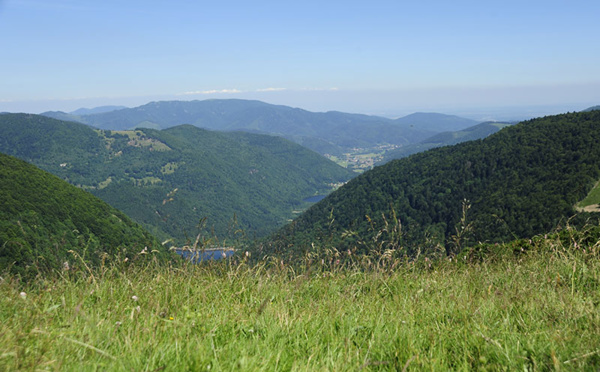 Escapade buissonnière dans les Vosges du Sud