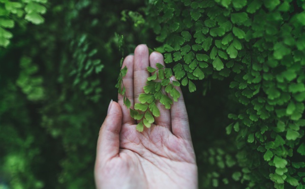 La nature revendique des droits