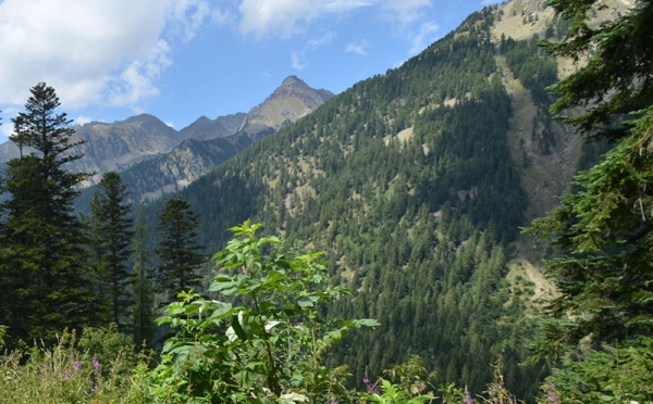 Mercantour : ouverture des gîtes et des cabanes perchées du Boréon