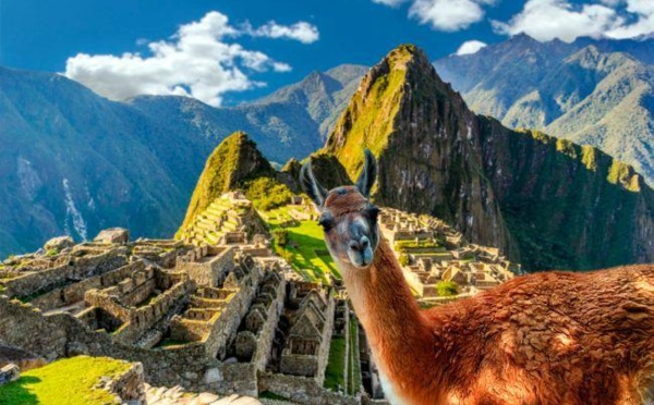 Mexique, Guatemala, Pérou : AmériGo fait voyager les clients vaccinés et s'occupe de tout !