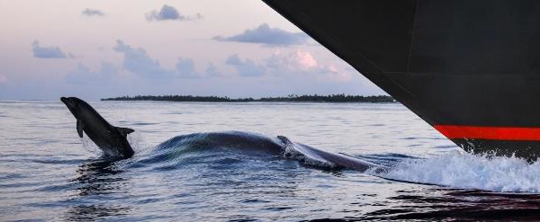 Ponant obtient la certification Green Marine Europe