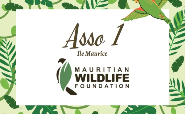 Turquoise TO lance un challenge de ventes solidaire