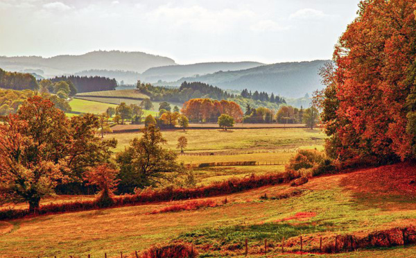 L’Automne, c’est la Bourgogne