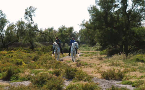 Voyages Vert Vous – La Camargue, authentique et sauvage