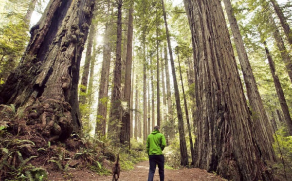 La Californie met en place une charte du tourisme responsable