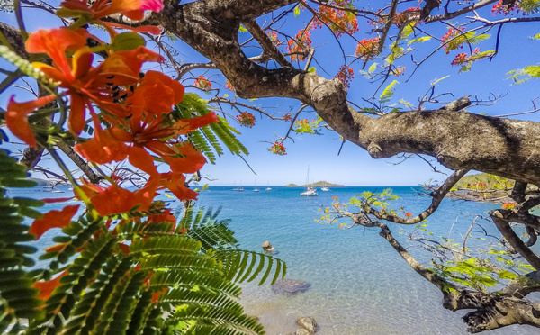 10 nouvelles offres d'hébergements pour vos clients dans les Îles de Guadeloupe