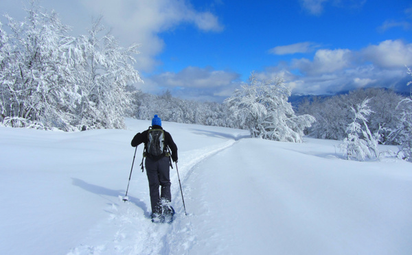 Pourquoi les raquettes à neige sont-elles devenues si tendance ?