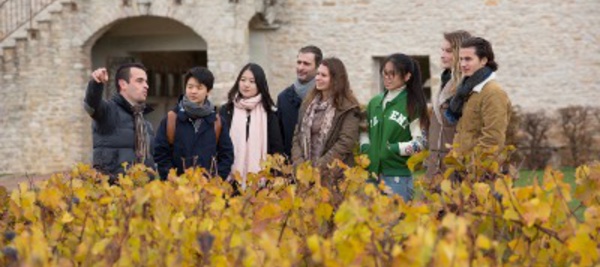 La School of Wine de Dijon va former au business de l’œnotourisme