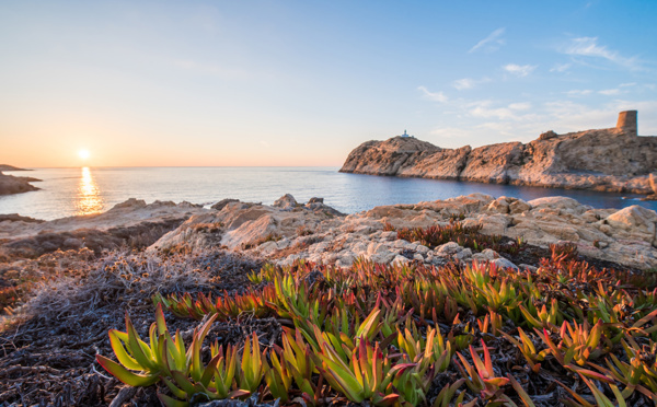 Altrimente Corsica, Vivez la Corse !