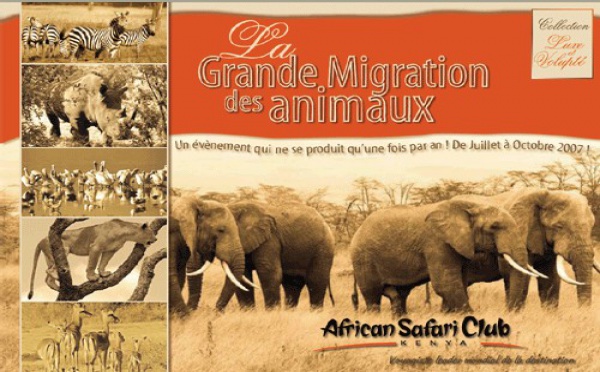 African Safari Club : mini-brochure ''La Grande Migration des animaux au Kenya''