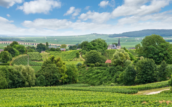 Lisela officiellement lancée sur les routes d’Alsace et du Grand Est