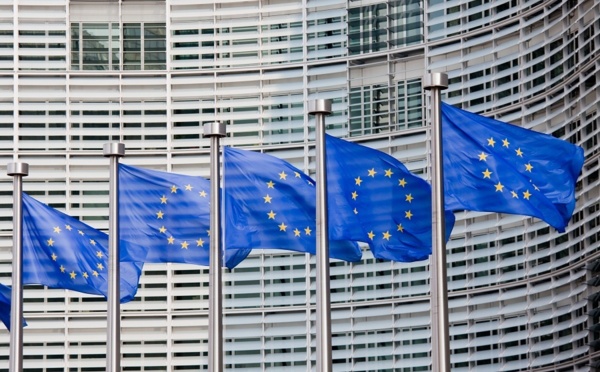 Elections européennes : vers la fin du statut d'agent de voyages ?