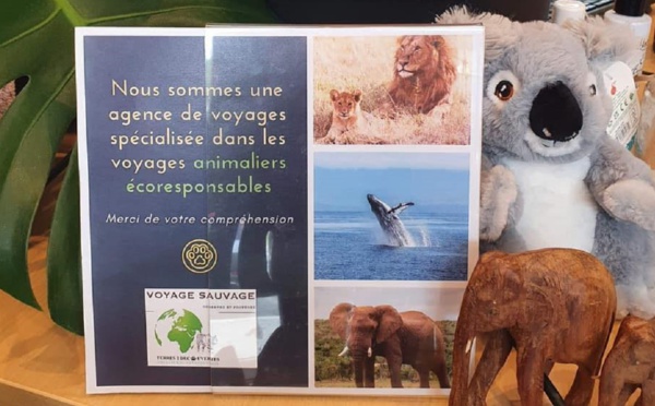 Voyage Sauvage : l'écotourisme animalier, candidat aux Césars du Voyage Responsable