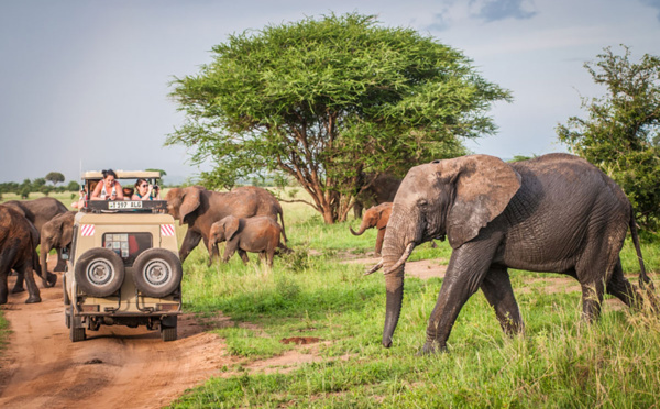 Savanna Tours &amp; Safaris vous donne rendez-vous à l’IFTM Top Resa, inscrivez-vous à l’éductour Sénégal 