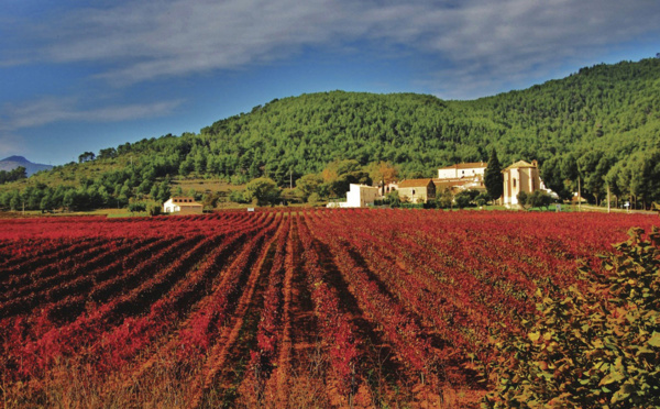 La Catalogne en escapades œnologiques et gastronomiques