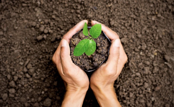 Miles &amp; Act et Time for the Planet s’associent pour une transformation positive des organisations