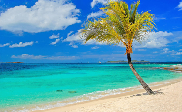 Embarquez à bord d'une croisière catamaran pour les Caraïbes