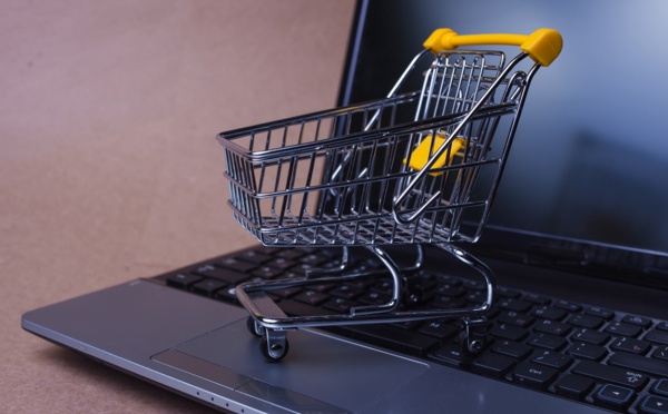 France : L'e-commerce boosté par le voyage !