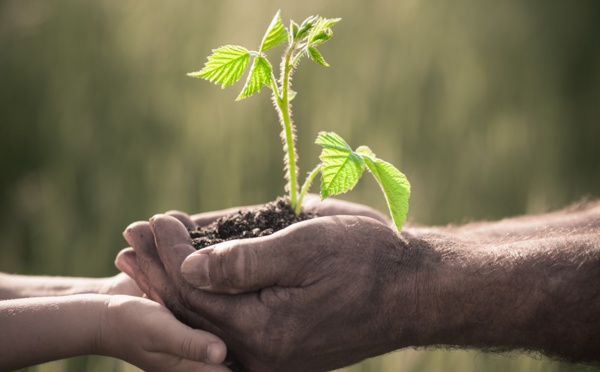 Futuroscopie - Quand les plantes changent de statut et renforcent le bien-être 🔑