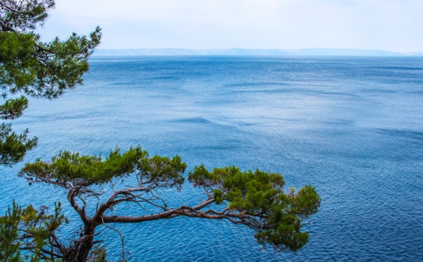 FUTUROSCOPIE - La mer, un territoire et un imaginaire en péril 🔑