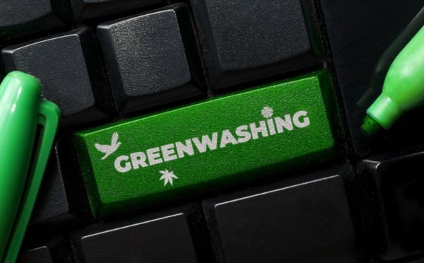 Greenwashing : les agences peuvent "connaître ce qu'a subi Lufthansa"