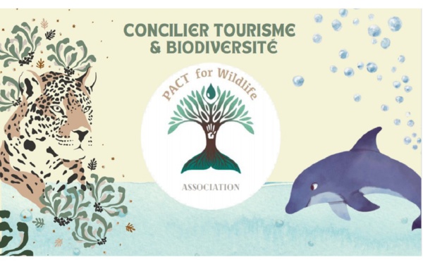 Pact for wildlife, le tout 1er label d’écotourisme animalier