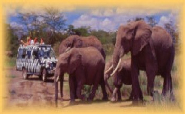 African Safari Club : vol au départ de Marseille et early booking