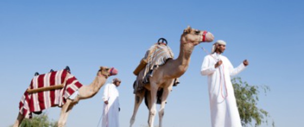 Dubaï : yoga au soleil couchant, un moment de calme et de sérénité