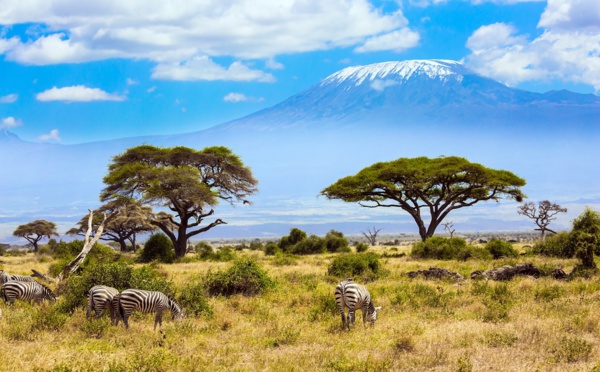 Voyage au Kenya : fin des restrictions Covid-19