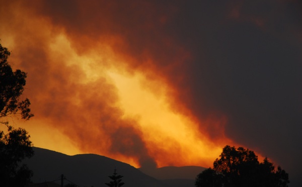 Incendies en Grèce: ATR appelle les pros du tourisme à l’action