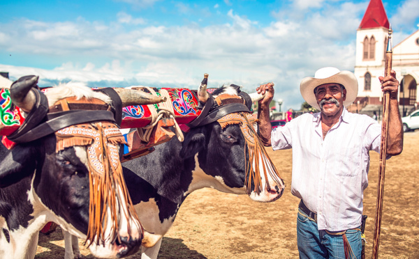 Tourisme rural au Costa Rica : immersion au cœur de la Pura Vida